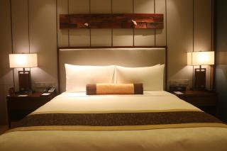 HUALUXE Yangjiang City Center - Yangjiang - 4