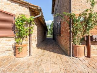 Farmhouse in Buonconvento - 0