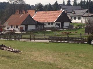 Apartments Baba Luce - 9