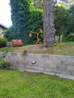 Gorriones Libres - 3