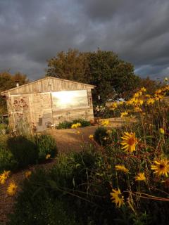 The Oaks Glamping - Jasper's Shepherds Hut - Colkirk - 6