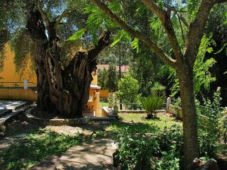 Maria Apartments - Roumanis - 5