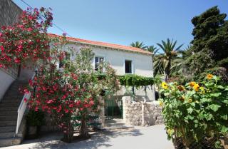 Guest House Katica - Zaton - 5