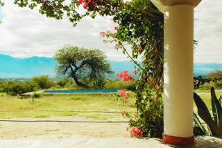 Hotel Texas - Cafayate - 7