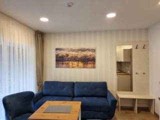 Vila Amber drop - Palanga - 6