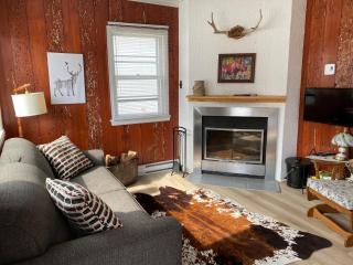 Chalet memphrémagog - 203 - 7