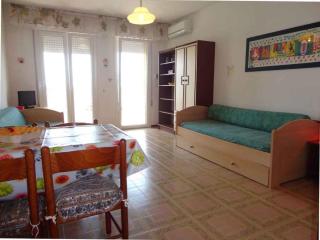 Studio in Porto Santa Margherita 25774 - 3