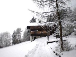 Holiday home in Mühlbach im Pinzgau 35597 - Dorf - 9