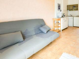 Apartment by Atlantic with Barbecue Terrace - Le Pouldu - 1