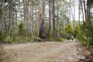 River Run Lodge - Strathblane - 6