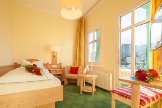 Hotel Victoria - Bad Harzburg - 8