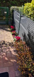 Jasmine Country House - Vicenza - 8
