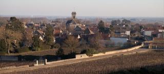 Domaine VIOLOT-GUILLEMARD - Pommard - 3