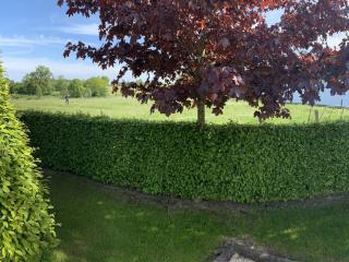 Elegant Chalet in Malmedy with Private Garden - Malmedy - 0