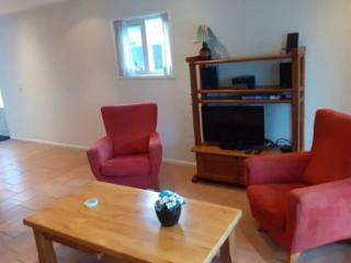 Child-friendly apartment on a farm with garden - Fochteloo - 2