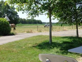Child-friendly apartment on a farm with garden - Fochteloo - 4