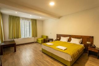 Вила Добро поле - Blagoevgrad - 9
