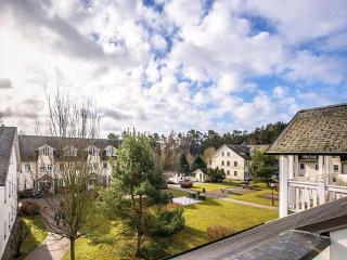 Dünenpark Binz - Komfortplus Ferienwohnung mit 2 Schlafzimmern und Balkon im Dachgeschoss 248 - Binz - 1