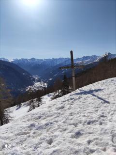 Residence Alice - Celledizzo - 1