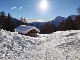Residence Alice - Celledizzo - 5