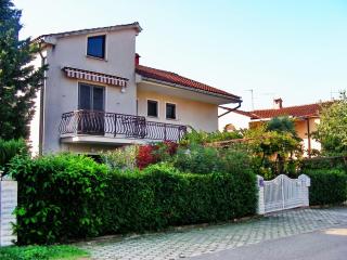 Apartment in Novigrad with Balcony, Air conditioning (4833-1) - 4