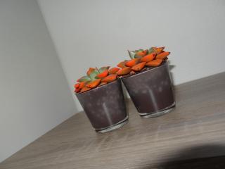 Hotel Bilderdijk - 6