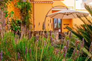 Hotel El Tejar & Spa - 8