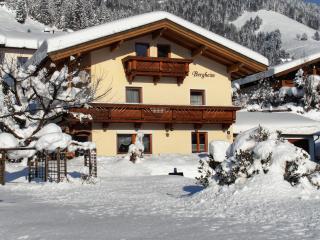 Bergheim Komfort Ferienwohnungen - 8