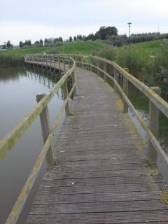 Luxe vakantiechalet met omheinde tuin Bredene 6pers (2572) - Bredene - 5