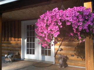 Denali Fireside Cabin & Suites - Talkeetna - 1