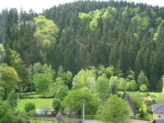 Attractive villa with garden in Borstendorf - Leubsdorf - 6
