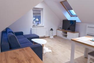 LAGUNA Apartament "W CHMURACH" Wille Parkowe z klimatyzacją - 1