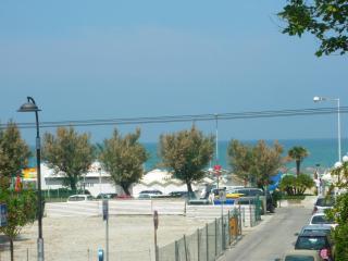 Hotel Mimosa - 7