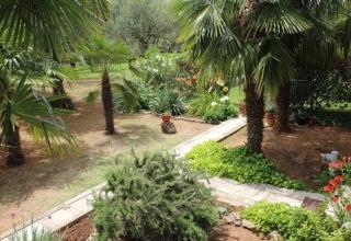 Apartment Plava Plaza (4382-1) - Vodice - 3