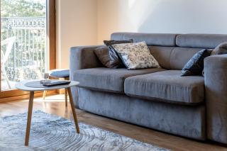 Elsa 2, Apartman NG 31&SPA Zlatibor - Zlatibor - 1