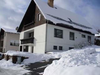 Apartment in Rokytnice nad Jizerou 2471 - Rokytnice nad Jizerou - 5