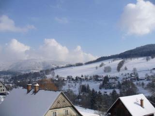 Apartment in Rokytnice nad Jizerou 2471 - Rokytnice nad Jizerou - 4