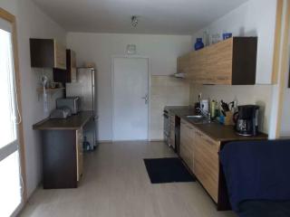 Holiday home in Svahova/Erzgebirge 1640 - Svahová - 4