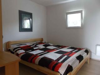 Holiday home in Svahova/Erzgebirge 1640 - Svahová - 5