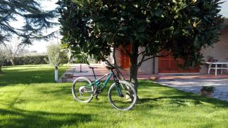 Country house bike friendly Famiglia Belleggia - Porto SantʼElpidio - 1