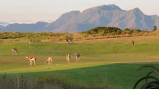 Oubaai Ocean View Private Self catering rooms Herolds Bay - 4