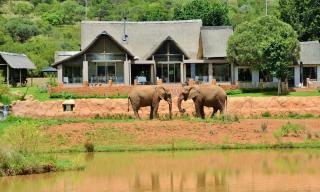 African Hills Safari Lodge & Spa - Magaliesburg - 3