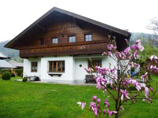 Annis Ausblick - Deine Unterkunft im Salzkammergut - Bad Goisern - 9