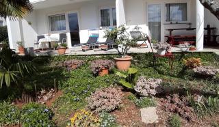 Apartments Summer Bloom - Krk - 8