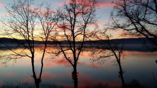 Golden Sunset Apartments - 3