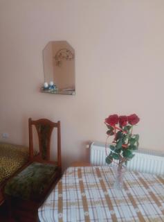 Park House - Počaïv - 8