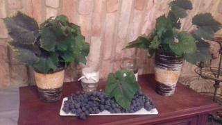 Ubytování U Štěpána - 2