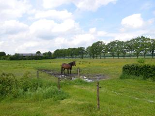 Holiday home with view over the meadows - Kibbelveen - 4