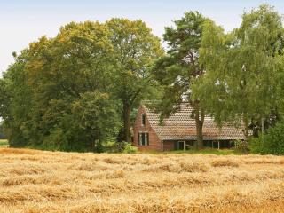 Spacious Farmhouse near Forest in Stramproy - De Horst - 2