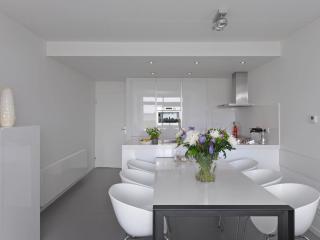 Modern and tasteful house ith private - Kamperland - 1